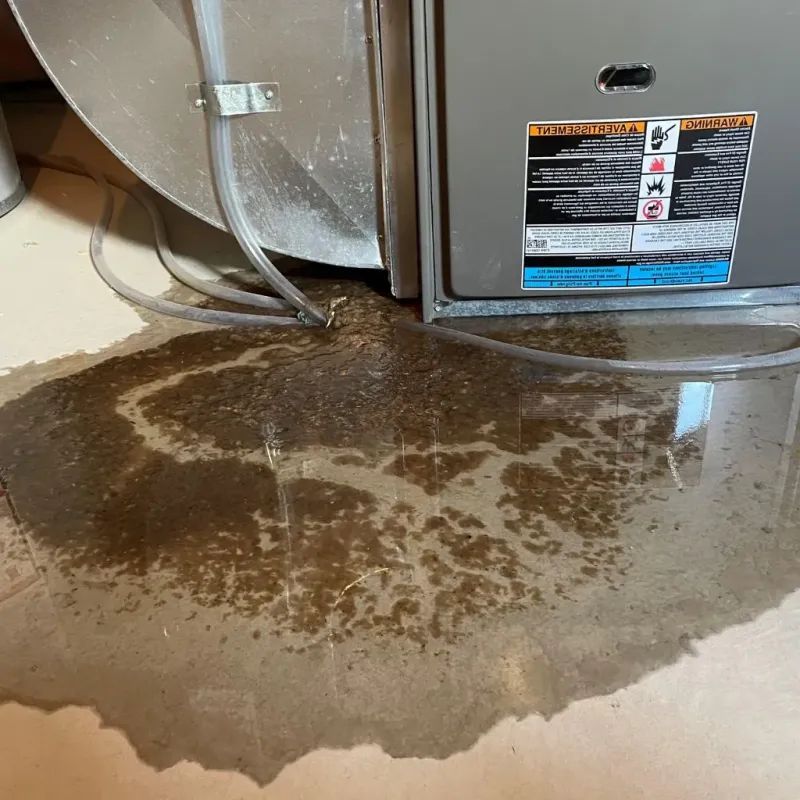 Pipe Burst and Leak Restoration in Newcastle, OK